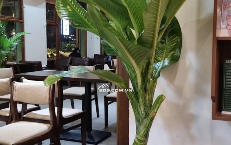 CHO THUÊ NHÀ LÔ GÓC KD PHỐ NGUYỄN VĂN LỘC, DT 150M2, 1 TẦNG, MT 17M, GIÁ 40 TRIỆU (CÓ TL)